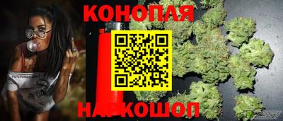 прущие крисы Баксан