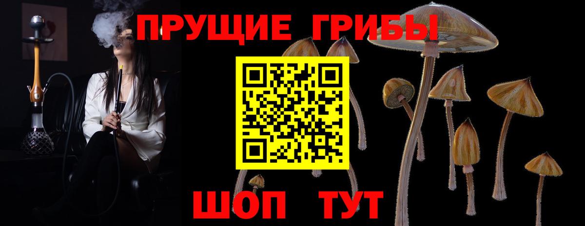 Галлюциногенные грибы Magic Shrooms Сафоново